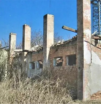 Foto annuncio 10