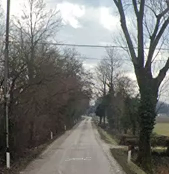 Foto annuncio 17