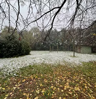 Foto annuncio 6