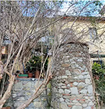 Foto annuncio 3