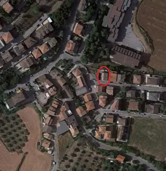Foto annuncio 9