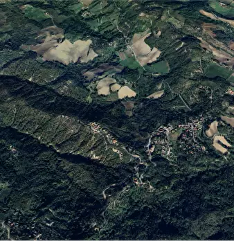 Foto annuncio 10