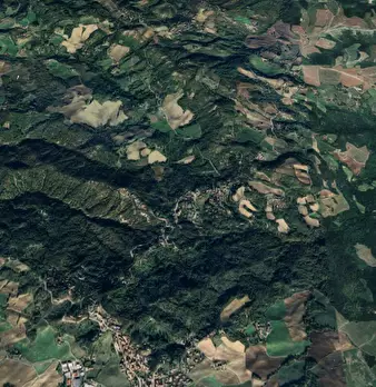 Foto annuncio 11