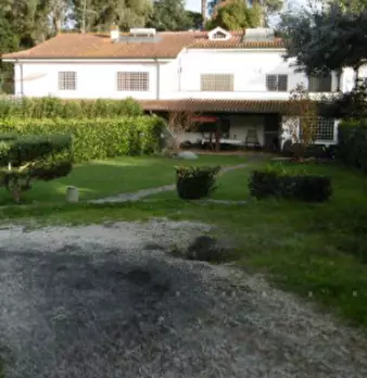 Foto annuncio 9