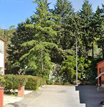 Foto annuncio 25