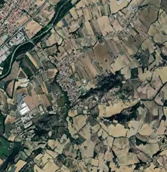 Foto annuncio 12