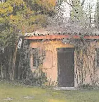 Foto annuncio 3