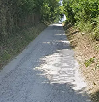 Foto annuncio 9