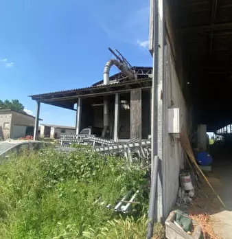 Foto annuncio 7