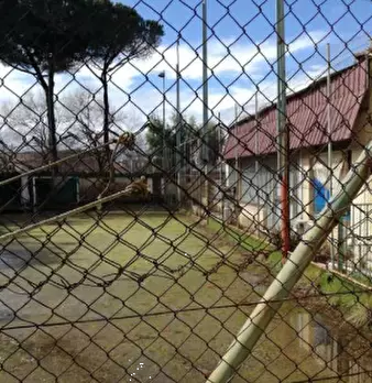 Foto annuncio 4