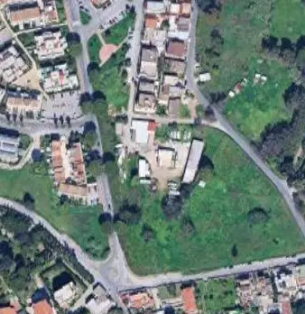 Foto annuncio 21
