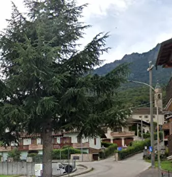 Foto annuncio 10