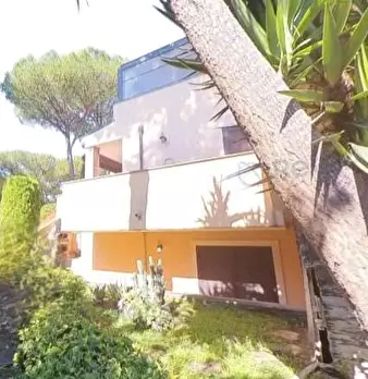 Foto annuncio 5