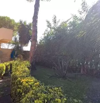 Foto annuncio 7
