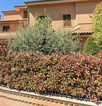 Foto annuncio 4