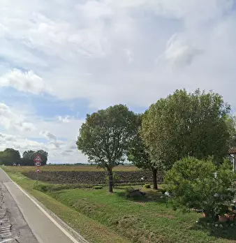 Foto annuncio 9