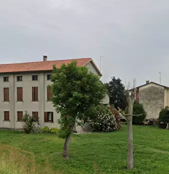 Foto annuncio 6
