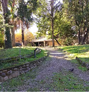 Foto annuncio 4
