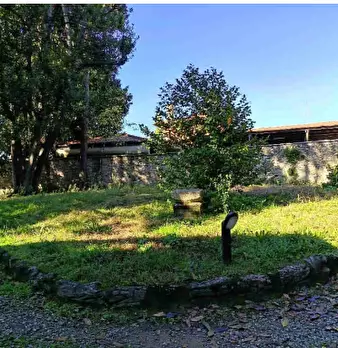 Foto annuncio 5