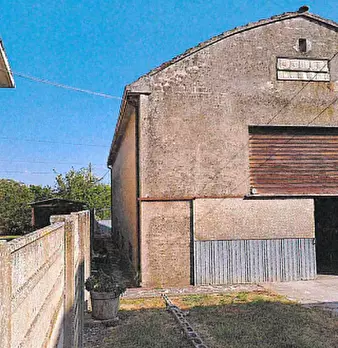 Foto annuncio 4
