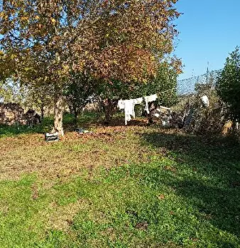 Foto annuncio 5