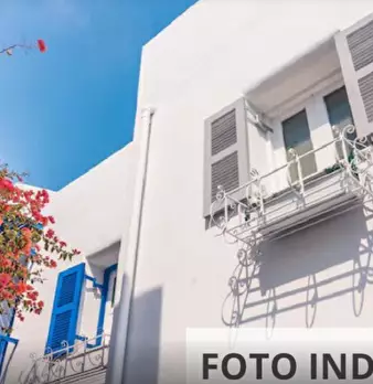 Foto annuncio 11