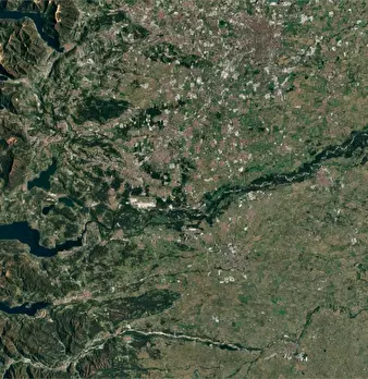 Foto annuncio 26