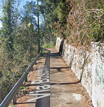 Foto annuncio 12
