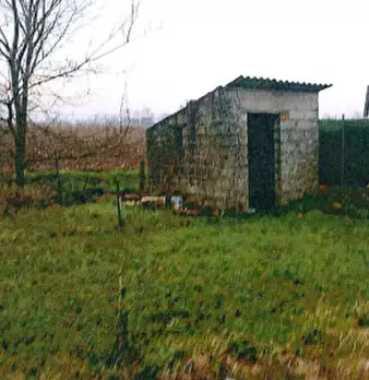 Foto annuncio 6