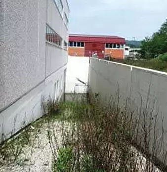 Foto annuncio 6