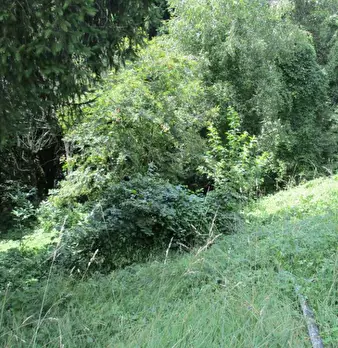 Foto annuncio 3