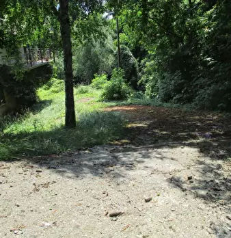 Foto annuncio 8