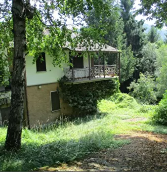 Foto annuncio 9