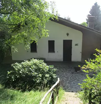 Foto annuncio 11