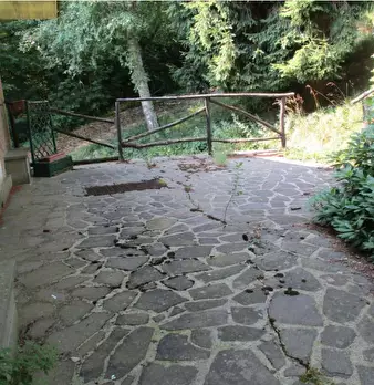 Foto annuncio 12
