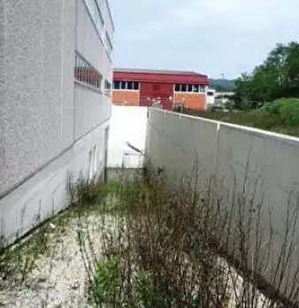 Foto annuncio 6