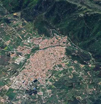 Foto annuncio 11