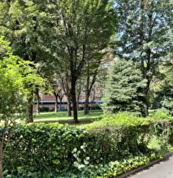 Foto annuncio 9