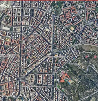 Foto annuncio 10