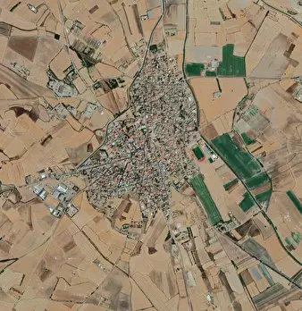 Foto annuncio 12