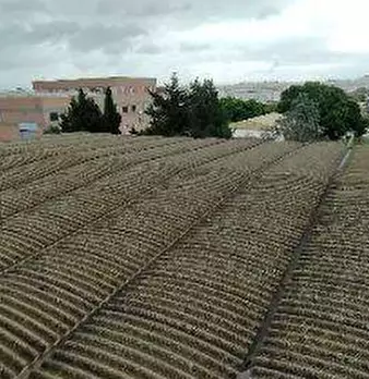 Foto annuncio 6