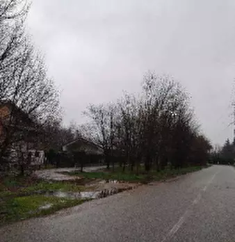 Foto annuncio 2