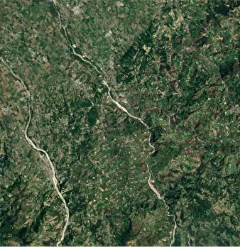 Foto annuncio 23
