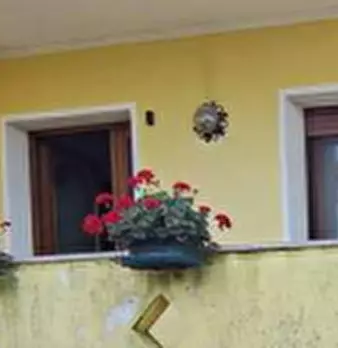 Foto annuncio 17