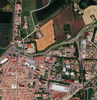 Foto annuncio 10