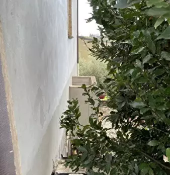 Foto annuncio 4