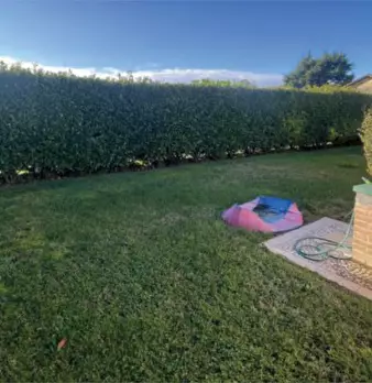 Foto annuncio 7