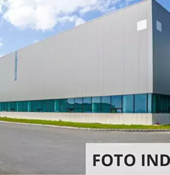 Foto annuncio 8