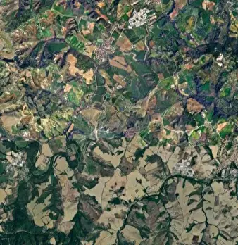 Foto annuncio 10