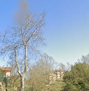Foto annuncio 8